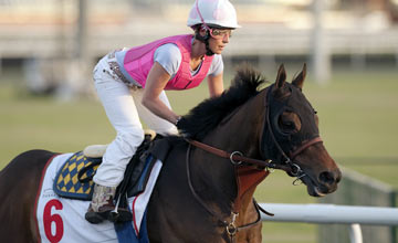 Game On Dude at Meydan, Dubai 30.3.12 Game On Dude at Meydan, Dubai 30.3.12