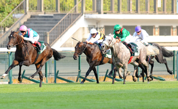 Flintshire - JUDDMONTE GRAND PRIX DE PARIS - G1 - 13/07/2013