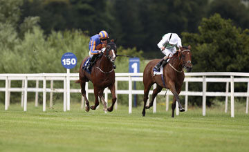 Scintillula Leopardstown 25.07.2013