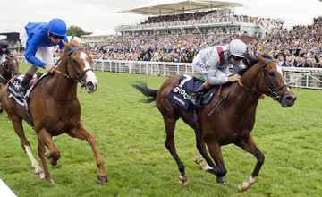 Toronado beats Dawn Approach Goodwood 31.7.13