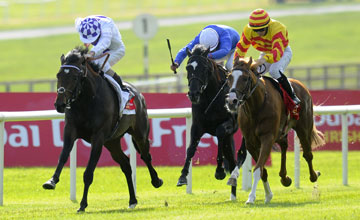 Trading Leather Curragh June 29, 2013