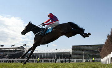 Sprinter Scare Cheltenham 13.3.13