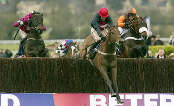 Bobs Worth - Cheltenham -15.03.2013