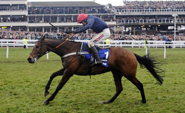 Bobs Worth - Cheltenham -15.03.2013