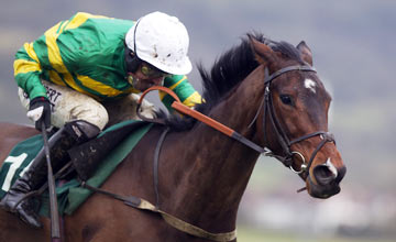 Alderwood is driven out byTony McCoy to win the Grand Annual Chase
