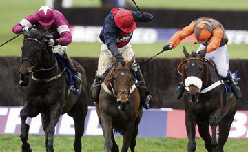 Sir Des Champs, Bobs Worth, Long Run - Cheltenham 15.03.13