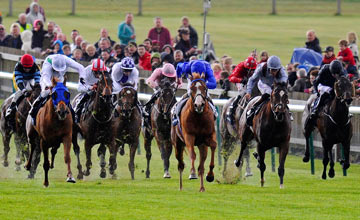 Dawn Approach - Newmarket 04.05.2013