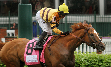 Wise Dan (Wiseman's Ferry) and jockey Jose Lezcano win the Woodford Reserve Turf Classic (Gr I) at Churchill Downs 5/4/13. Trainer: Charles LoPresti. Owner: Morton Fink Wise Dan (Wiseman's Ferry) and jockey Jose Lezcano win the Woodford Reserve Turf Classic (Gr I) at Churchill Downs 5/4/13. Trainer: Charles LoPresti. Owner: Morton Fink