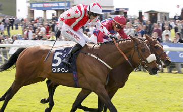 Glen's Diamond wins from Top Tip Glen's Diamond wins from Top Tip