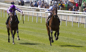 Al Kazeem Al Kazeem