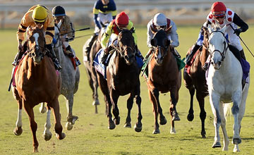 John Velaquez (yellow) rides Wise Dan to win the Mile during the Breeders' Cup World Championships at Santa Anita Park on November 2, 2013