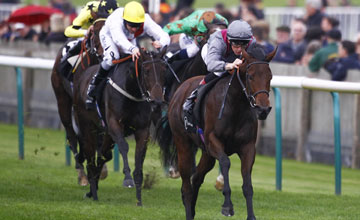 Al Thakhira wins The vision.ae Rockfel Stakes at Newmarket...1000 guineas 2014 betting Martin Harley riding Al Thakhira wins The vision.ae Rockfel Stakes at Newmarket