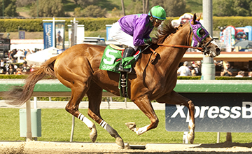 California Chrome and Victor Espinoza win the Grade I $1,000,000 Santa Anita Derby Saturday, April 5, 2014 at Santa Anita Park, Arcadia, CA.