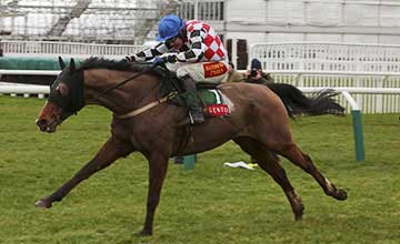 The Giant Bolster - Cheltenham 25.1.14