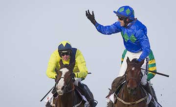 Hurricane Fly - Leopardstown 26.1.14