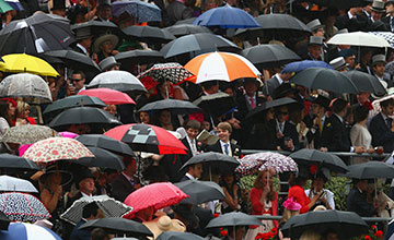 Umbrellas Umbrellas