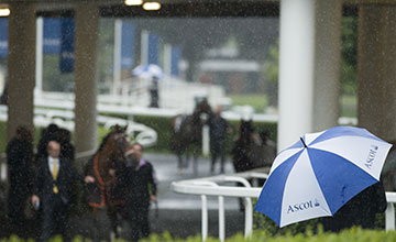 Ascot raining