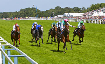 Kingman - James Doyle wins