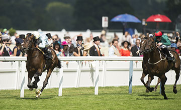 Arab Spring (left): looks the best of Stoute pair in Princess of Wales’s