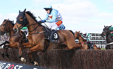 Western-warhorse-360 Western-warhorse-360