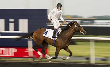 Toast Of New York wins the UAE Derby Dubai 29.3.14