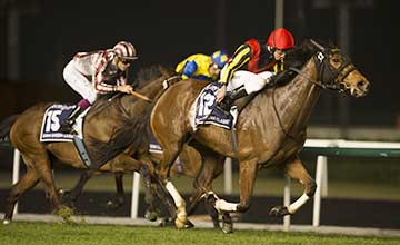 Gentildonna wins the Sheema Classic Dubai 29.3.14