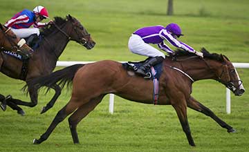 Leading Light wins the Coolmore Vintage Crop Stakes