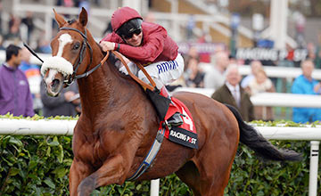 Elm Park: looked every inch a Derby contender when winning the Racing Post Trophy last October