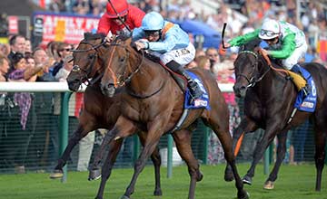 G FORCE wins Betfred Sprint Cup at Haydock 6-9-14.