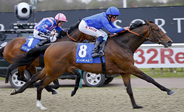 Tryster - William Buick wins