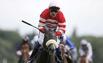 Mecca's Angel; impressive at York and is heading to the Abbaye in superb form