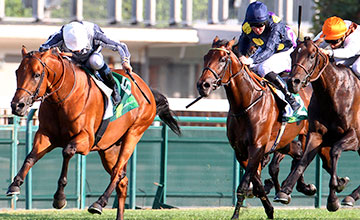 Erupt wins at Longchamp 14.07.2015