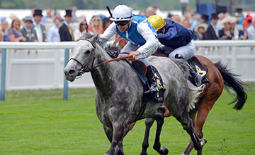 SOLOW with Maxime guyon winning