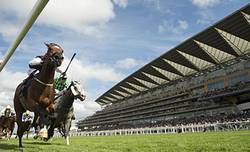 Free Eagle (Pat Smullen) beats The Grey Gatsby