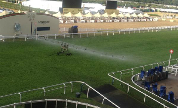 Ascot watering