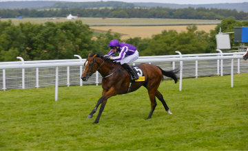 Highland Reel