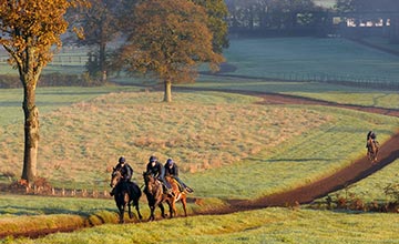 Robins Farm