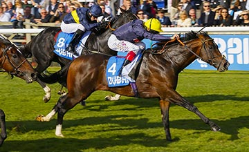 Cable Bay winsThe Dubai Challenge Stakes