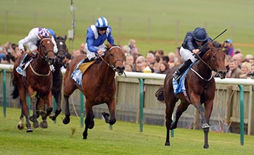 Air force blue outlet racehorse