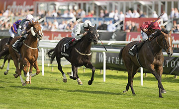 ... Pallasator does not play up too much | Horse Racing News | Racing Post