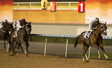 California Chrome (Victor Espinoza) wins