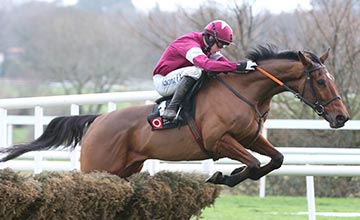 ALPHA DES OBEAUX RIDDEN BY BRYAN COOPER