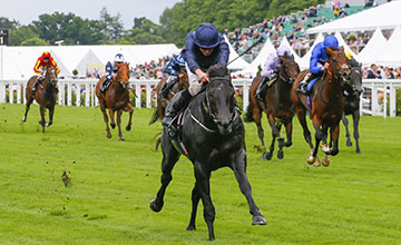 Caravaggio - Ryan Moore