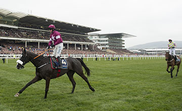 Don Cossack (Brian Cooper) wins the Gold Cup