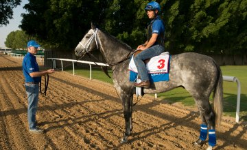 Frosted Frosted