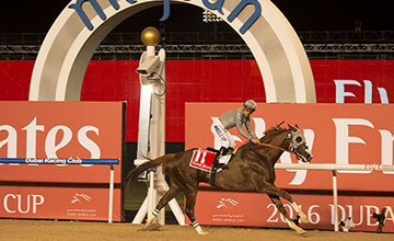 California Chrome wins the Dubai World Cup