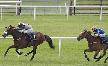 Fascinating Rock and Pat Smullen win