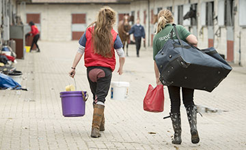 Stable staff go about their duties