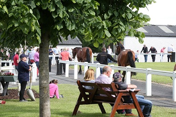 Tattersalls Ireland Ring Scene From Side 360 Version Tattersalls Ireland Ring Scene From Side 360 Version