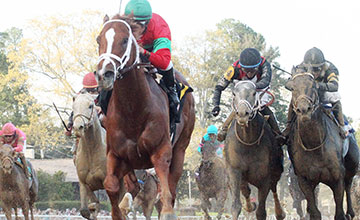 Malagacy-oaklawn-360 Malagacy-oaklawn-360